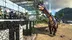 اکانت قانونی ARK: Survival Evolved برای  PS5 و PS4